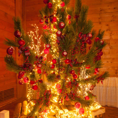 Pressebild9 © Erlebnis-Weihnachtsmarkt Pressebild9 © Erlebnis-Weihnachtsmarkt